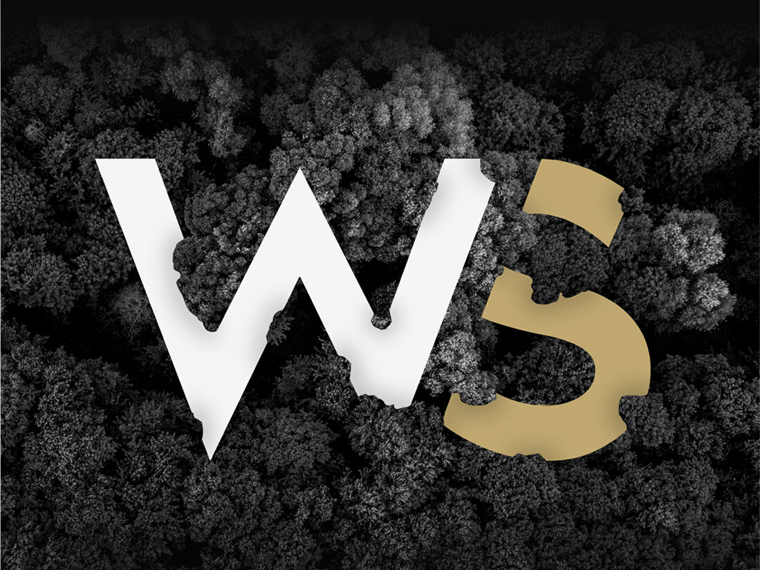 Engagement RSE Working Success